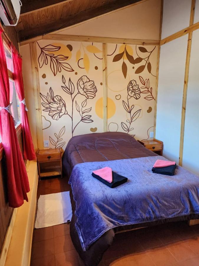 Hostel Cerro Torres 厄尔查尔坦 外观 照片